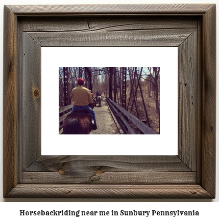 horseback riding near me in Sunbury, Pennsylvania